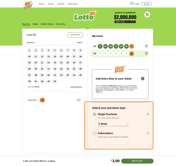 Select your purchase type