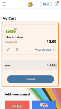 Review your purchase